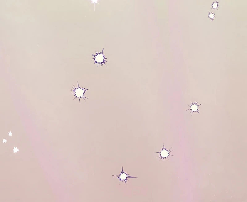 The Reason the Abandoned Fake Princess Returned Chapter 14 - page 13