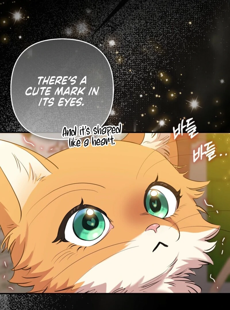 I’m a Phantom Thief But I Faked A Marriage With An Investigator Chapter 2 - page 55