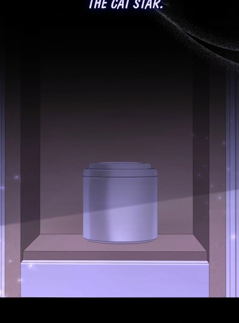 I’m a Phantom Thief But I Faked A Marriage With An Investigator Chapter 2 - page 63