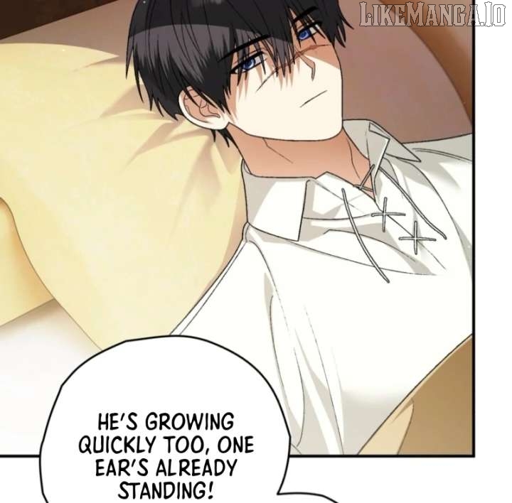 To My Dear Wolf Chapter 14 - page 23