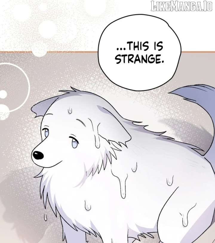 To My Dear Wolf Chapter 18 - page 92