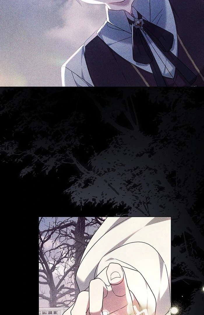 The Super-Strong Noble Lady Wants to Be Truly Weak Chapter 11 - page 23