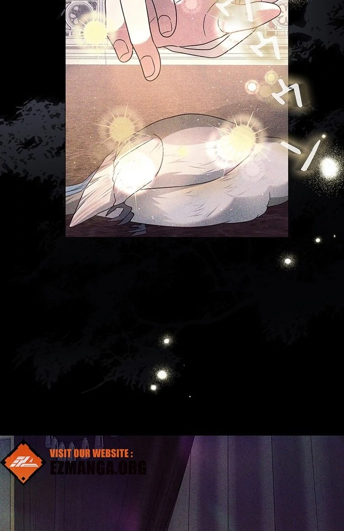 The Super-Strong Noble Lady Wants to Be Truly Weak Chapter 11 - page 24