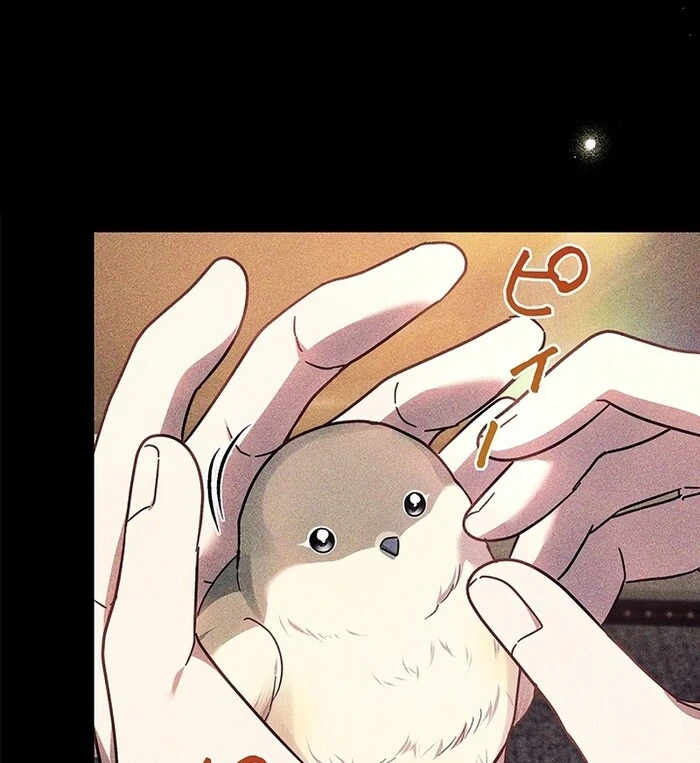 The Super-Strong Noble Lady Wants to Be Truly Weak Chapter 11 - page 26