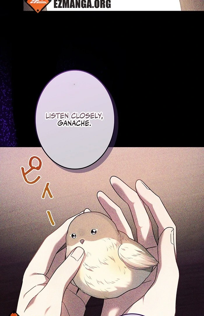 The Super-Strong Noble Lady Wants to Be Truly Weak Chapter 11 - page 39
