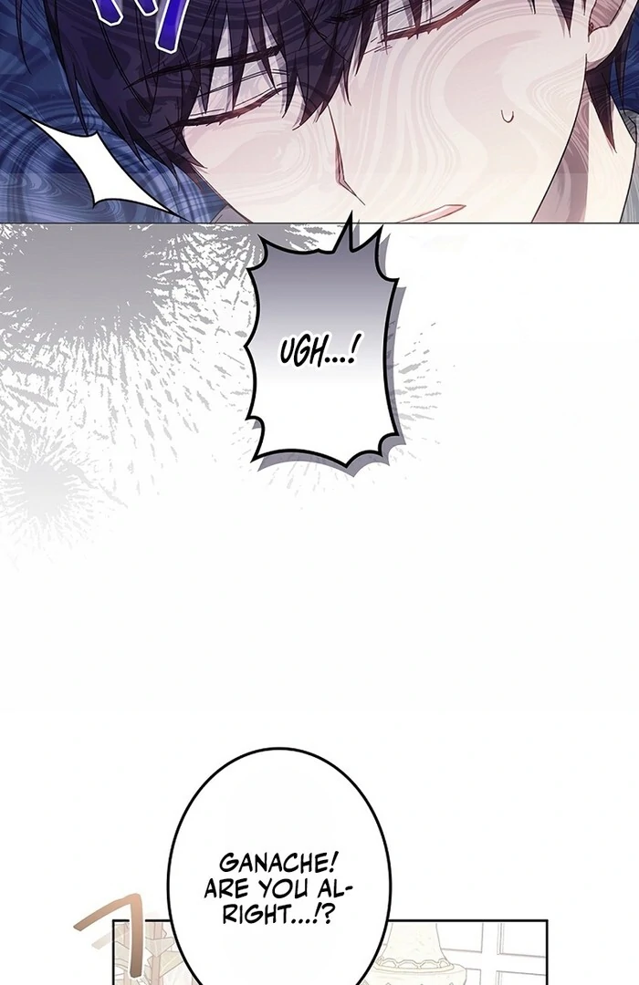 The Super-Strong Noble Lady Wants to Be Truly Weak Chapter 11 - page 71