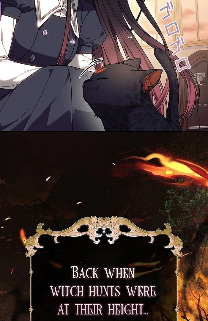 The Super-Strong Noble Lady Wants to Be Truly Weak Chapter 15 - page 90