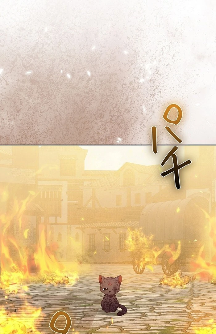 The Super-Strong Noble Lady Wants to Be Truly Weak Chapter 18 - page 40