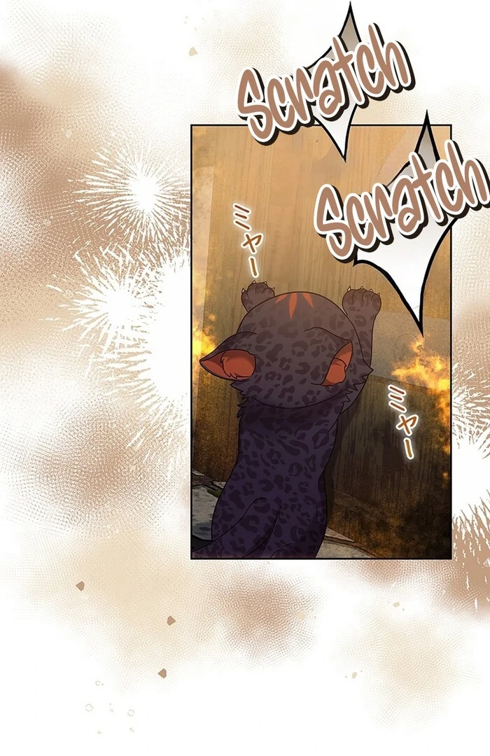 The Super-Strong Noble Lady Wants to Be Truly Weak Chapter 18 - page 49
