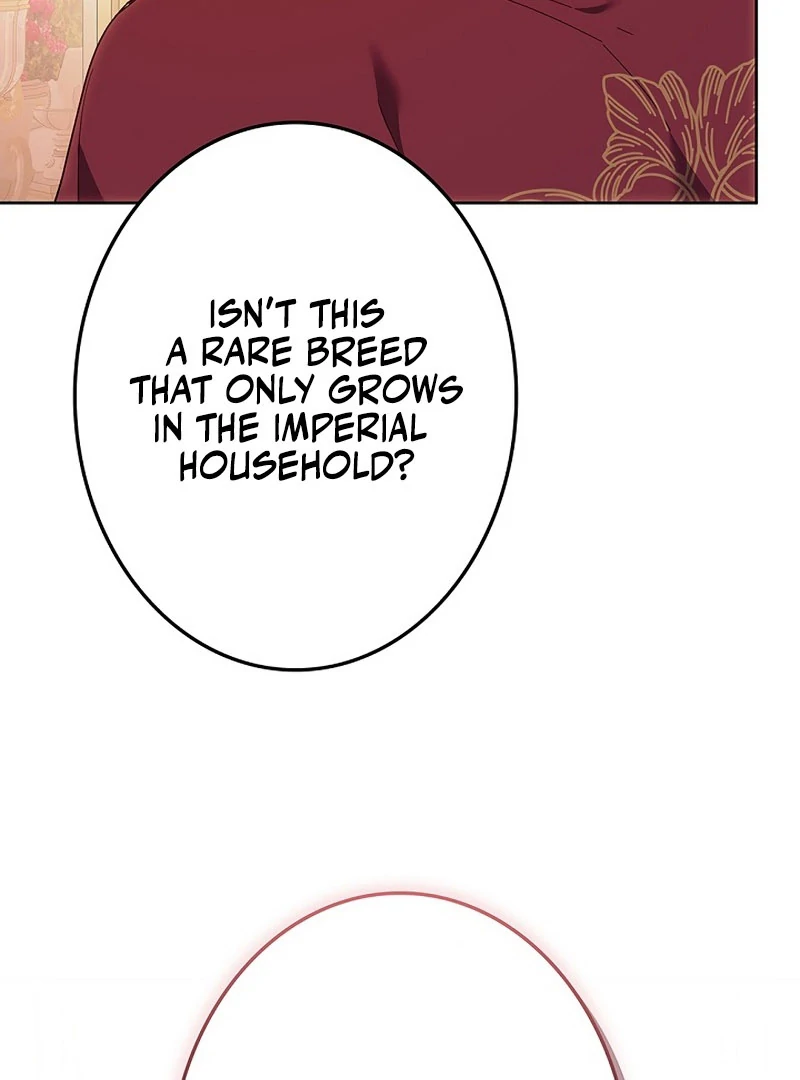 The Super-Strong Noble Lady Wants to Be Truly Weak Chapter 20 - page 105