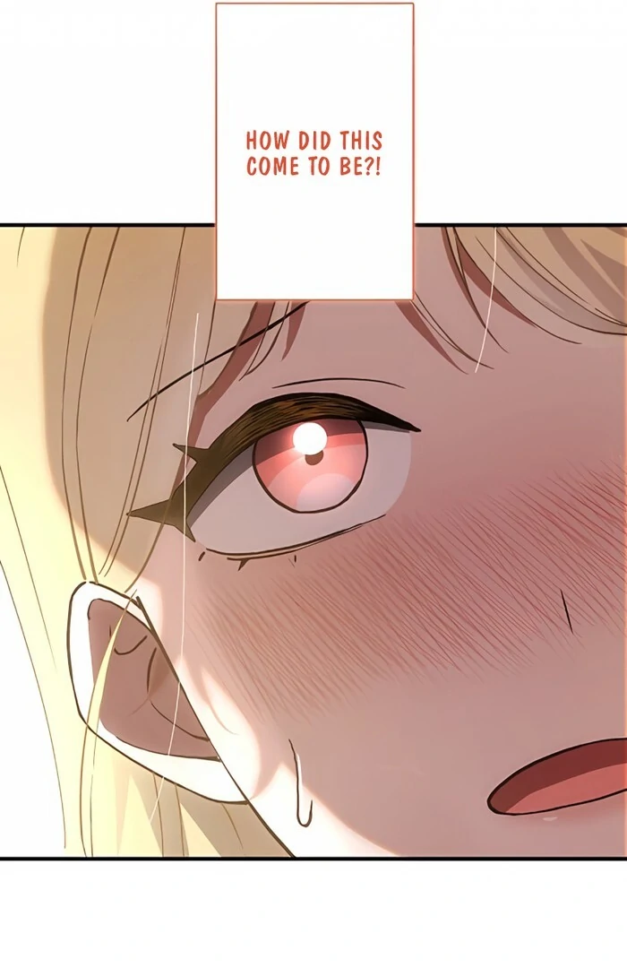 Don’t Obsess Over the Fake Princess! Chapter 1 - page 19