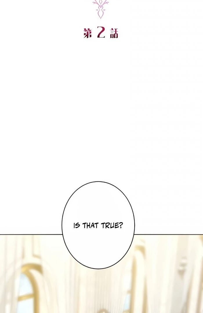 Don’t Obsess Over the Fake Princess! Chapter 2 - page 29