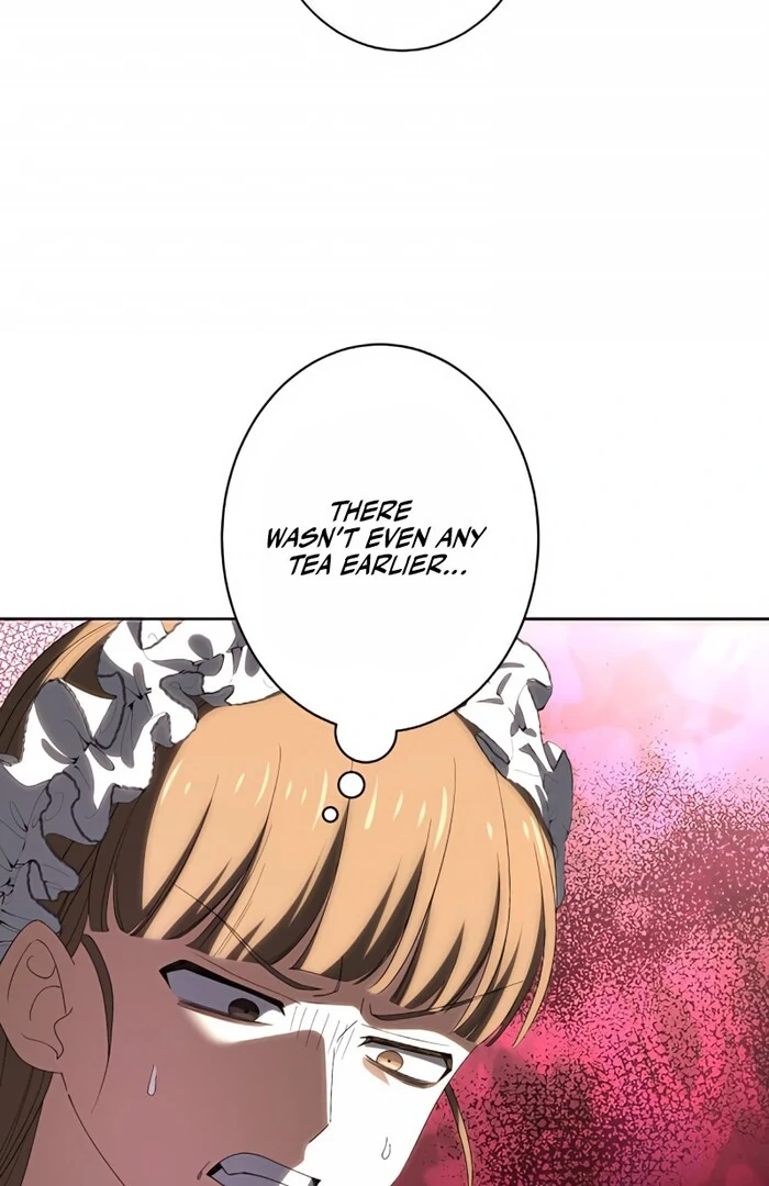 Don’t Obsess Over the Fake Princess! Chapter 2 - page 43