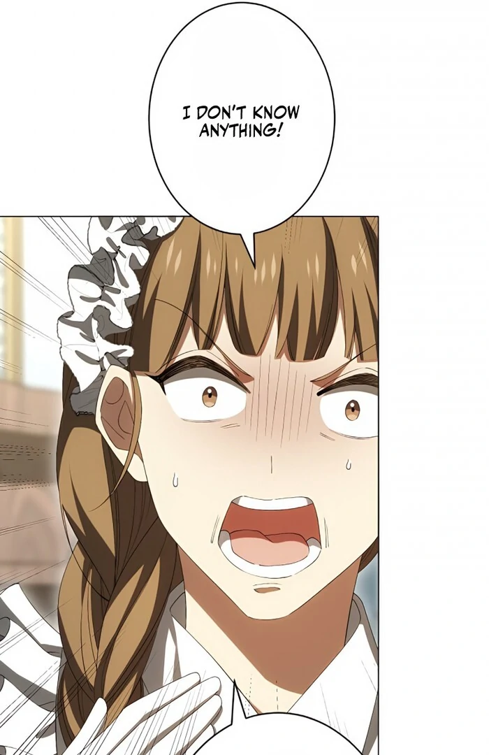 Don’t Obsess Over the Fake Princess! Chapter 2 - page 47