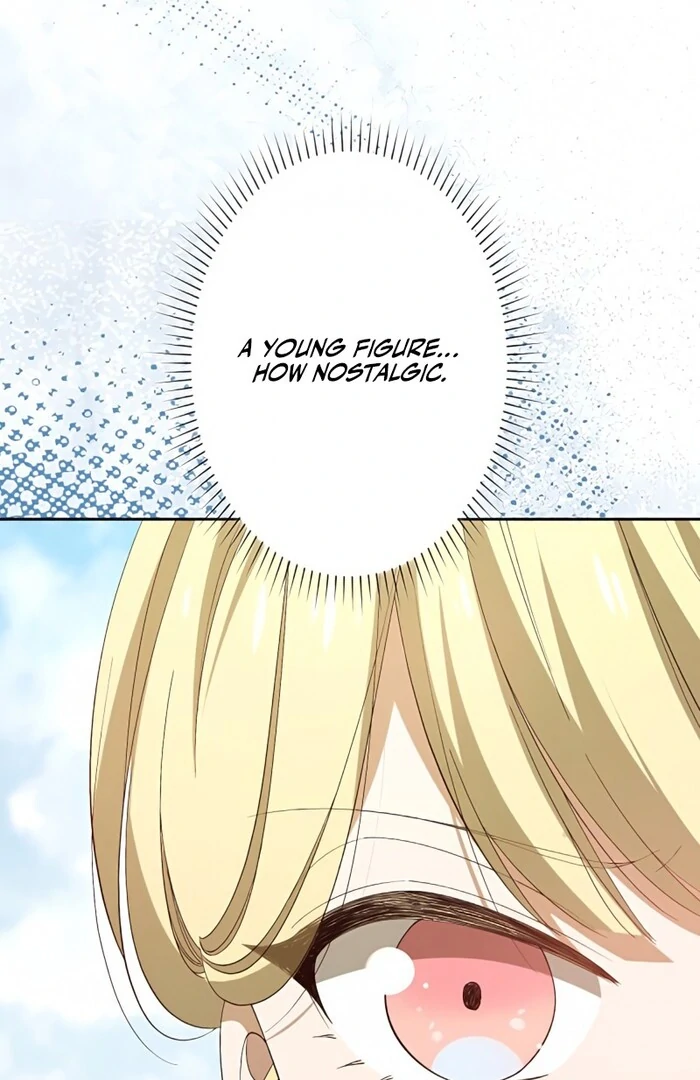 Don’t Obsess Over the Fake Princess! Chapter 3 - page 3