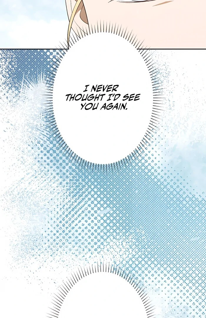 Don’t Obsess Over the Fake Princess! Chapter 3 - page 4