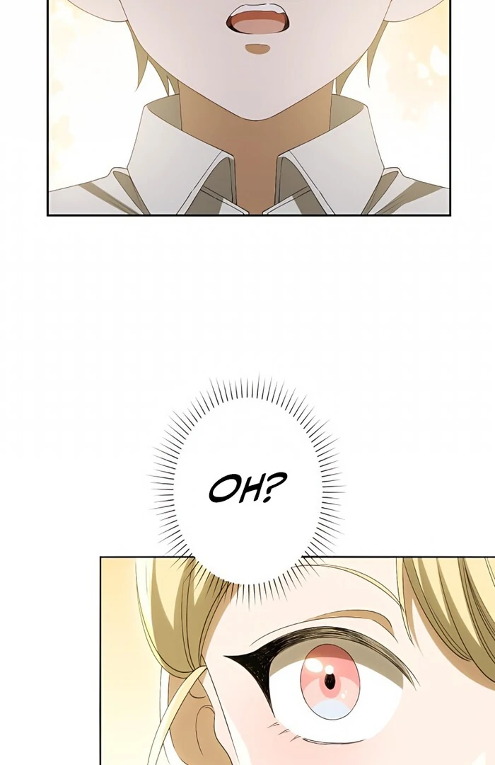 Don’t Obsess Over the Fake Princess! Chapter 3 - page 73