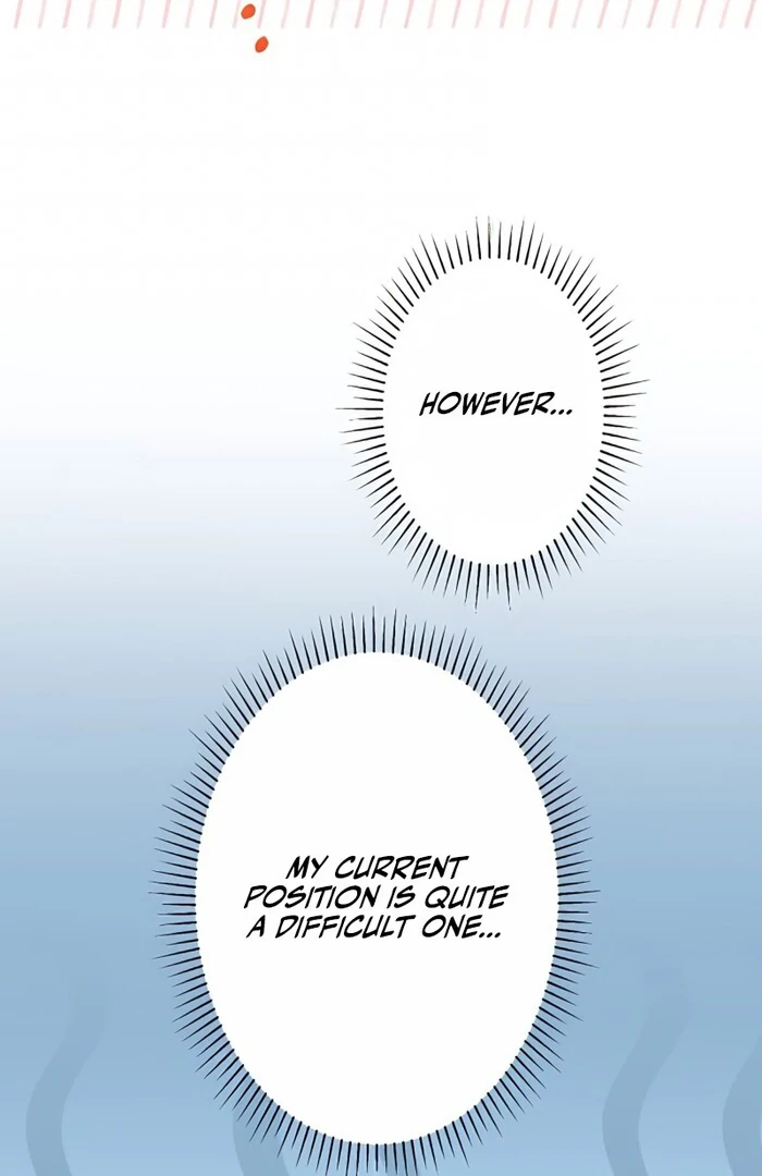 Don’t Obsess Over the Fake Princess! Chapter 6 - page 28