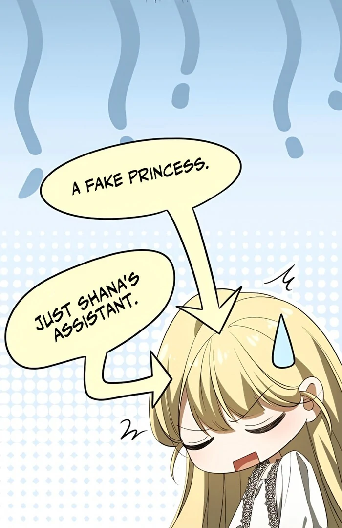 Don’t Obsess Over the Fake Princess! Chapter 6 - page 29