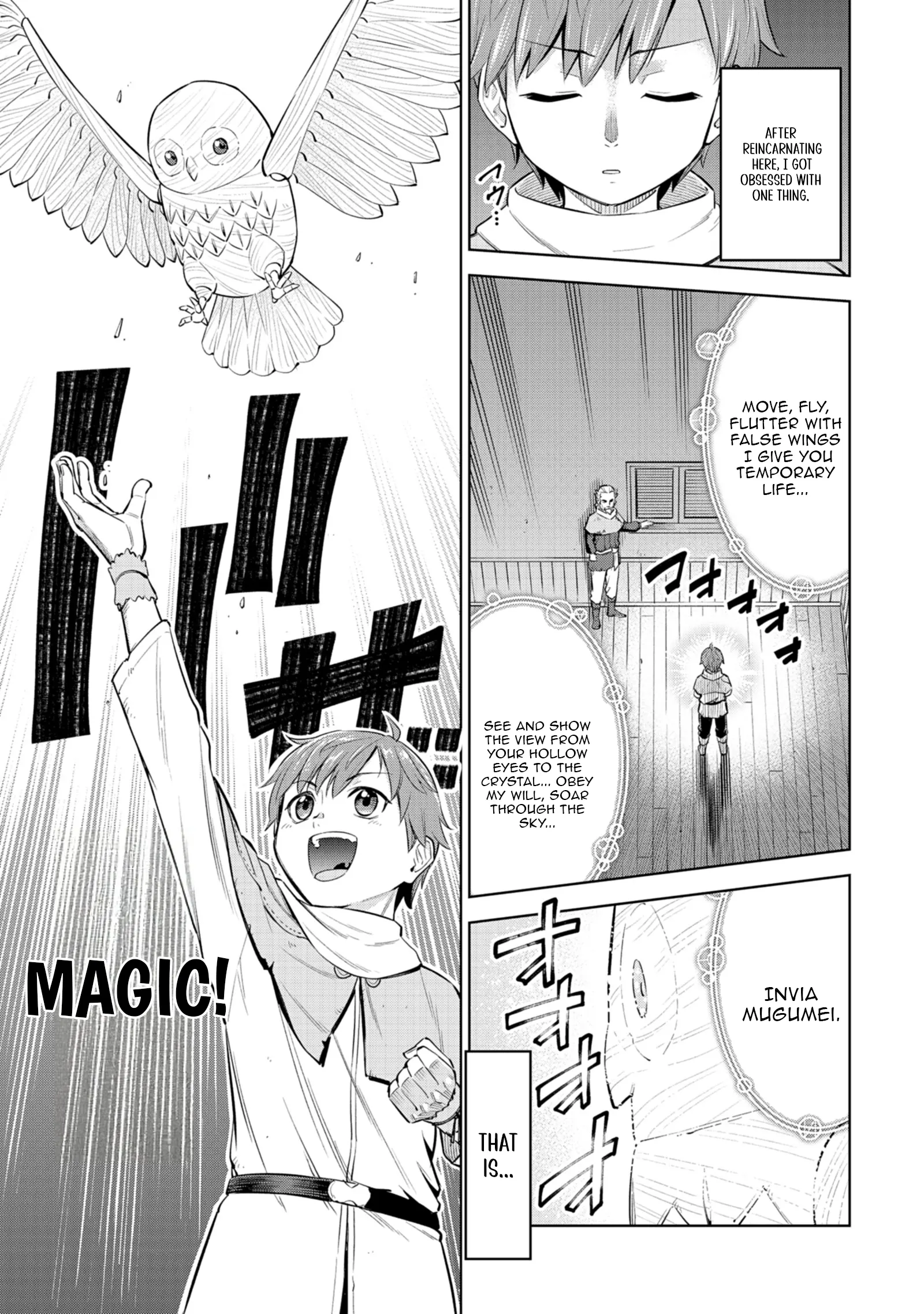 Millimos Saga: The Reincarnation Chronicles of the Youngest Prince Chapter 1 - page 13