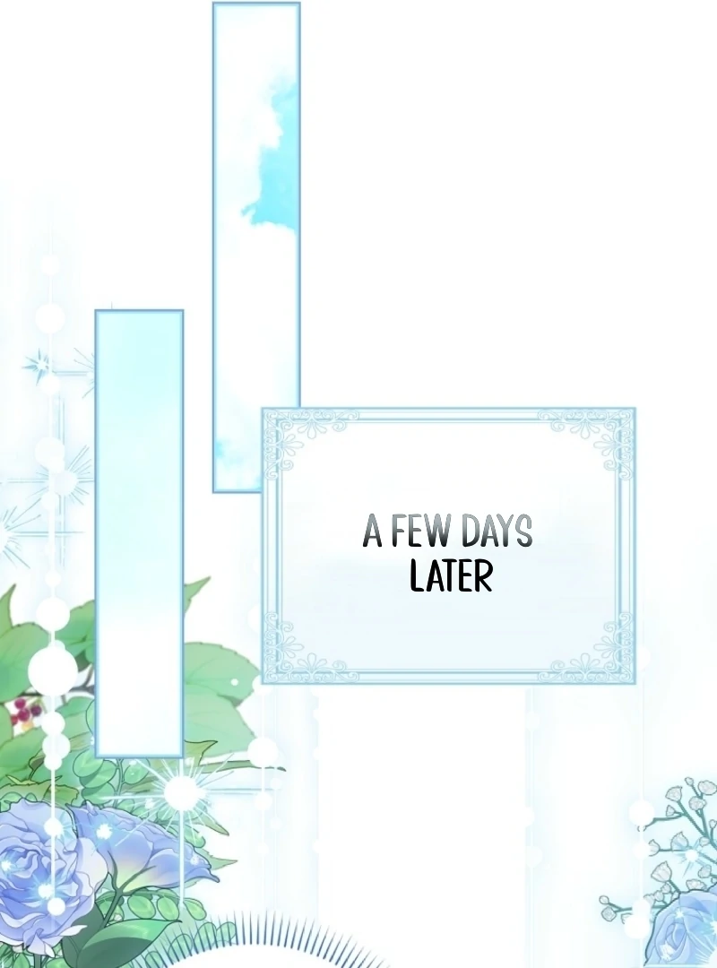 The White Tiger Princess is Not Dangerous Chapter 3 - page 11