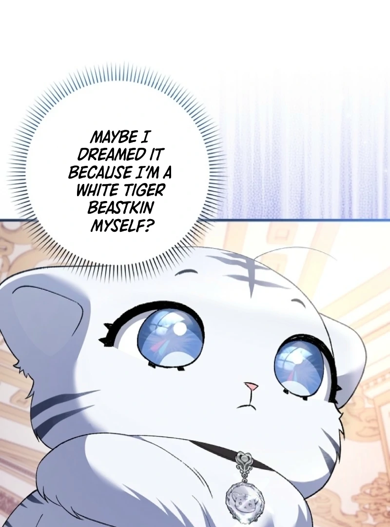 The White Tiger Princess is Not Dangerous Chapter 3 - page 17
