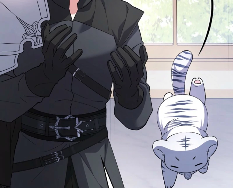 The White Tiger Princess is Not Dangerous Chapter 3 - page 32