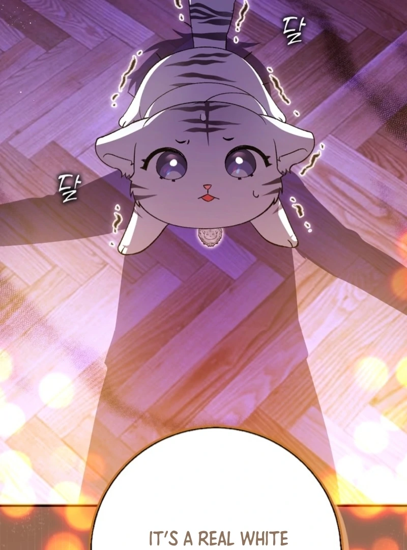 The White Tiger Princess is Not Dangerous Chapter 3 - page 42