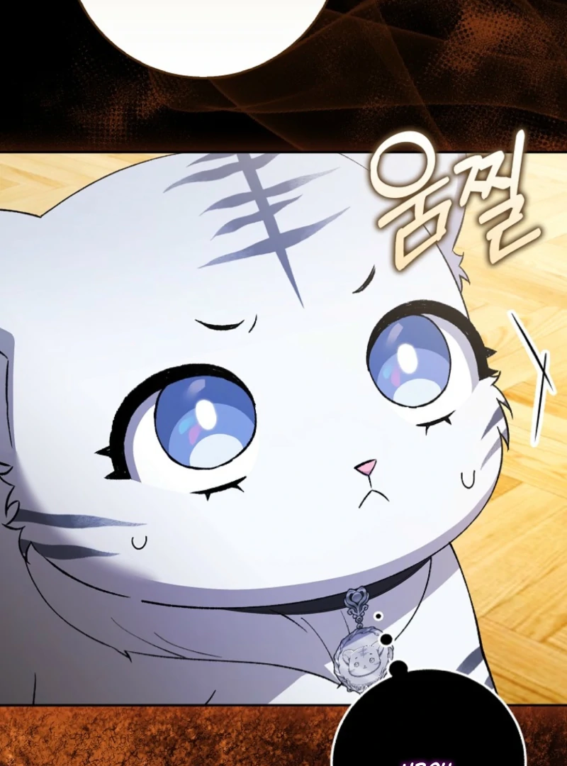 The White Tiger Princess is Not Dangerous Chapter 3 - page 65