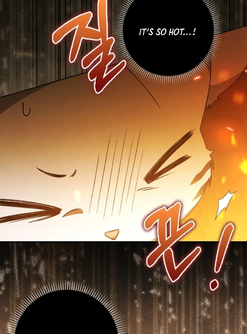 The White Tiger Princess is Not Dangerous Chapter 3 - page 85