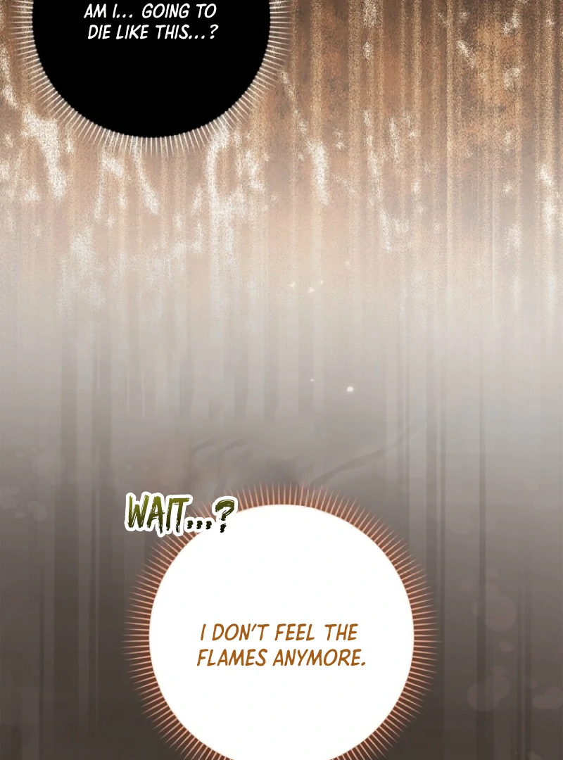 The White Tiger Princess is Not Dangerous Chapter 3 - page 86