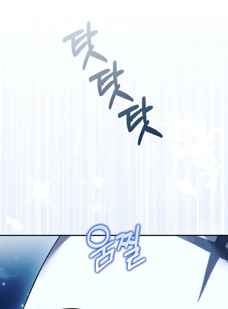 The White Tiger Princess is Not Dangerous Chapter 14 - page 11