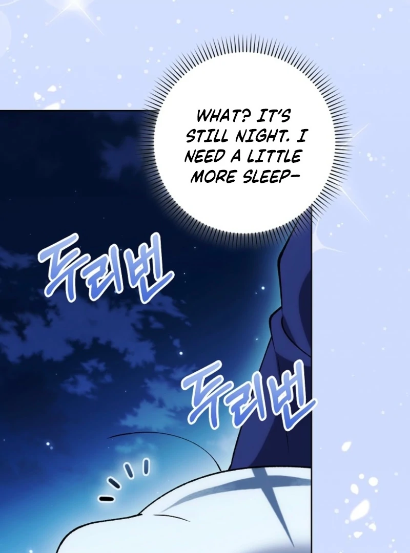 The White Tiger Princess is Not Dangerous Chapter 14 - page 13