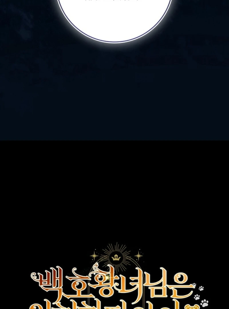 The White Tiger Princess is Not Dangerous Chapter 14 - page 147