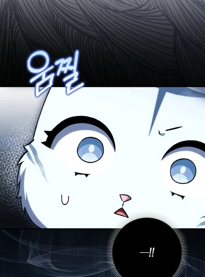 The White Tiger Princess is Not Dangerous Chapter 14 - page 37