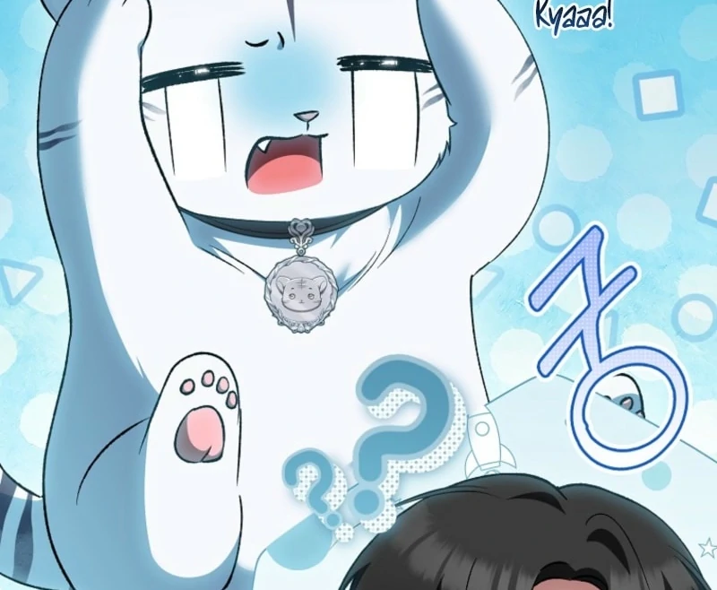 The White Tiger Princess is Not Dangerous Chapter 15 - page 141