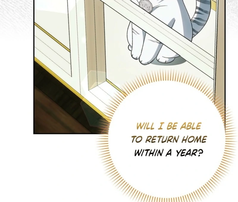 The White Tiger Princess is Not Dangerous Chapter 15 - page 77