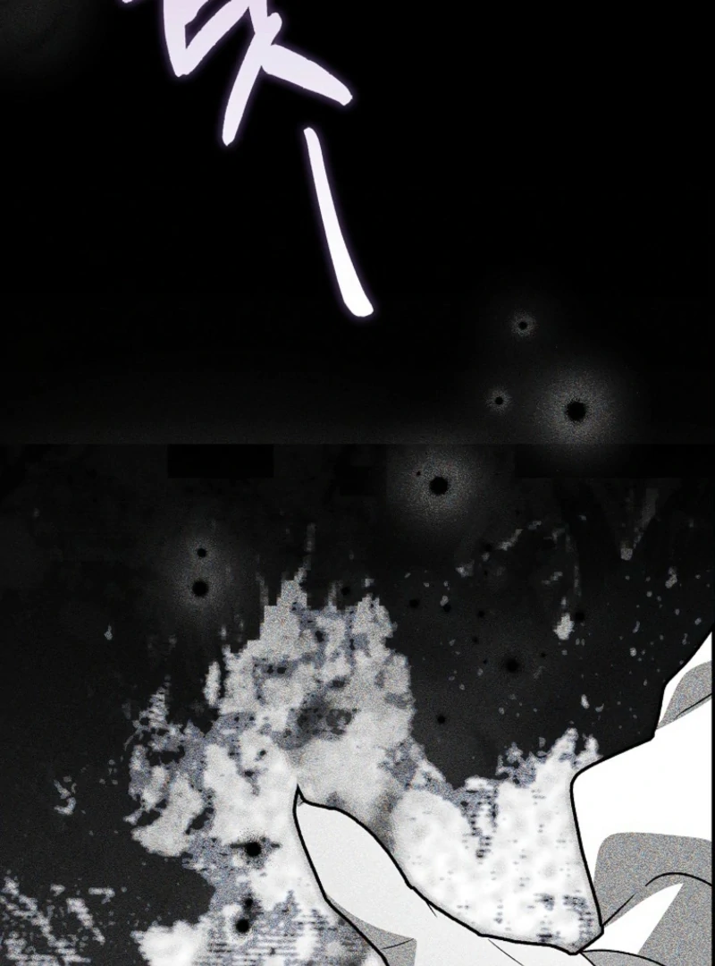 The White Tiger Princess is Not Dangerous Chapter 17 - page 25