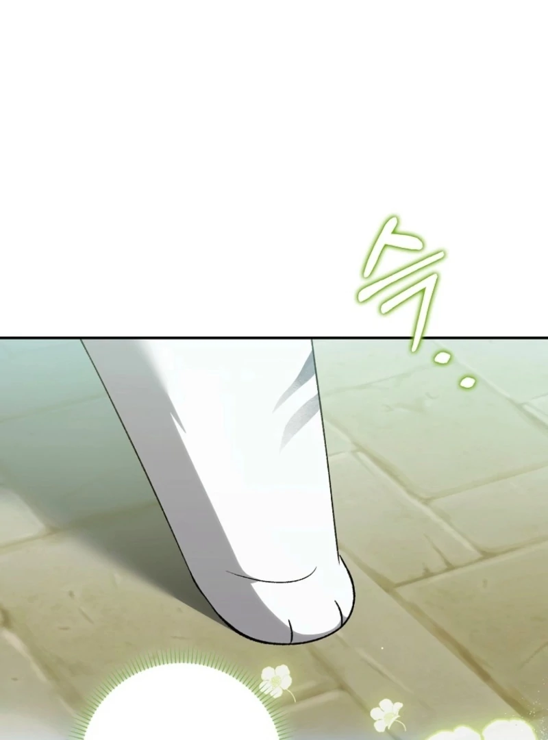 The White Tiger Princess is Not Dangerous Chapter 17 - page 35