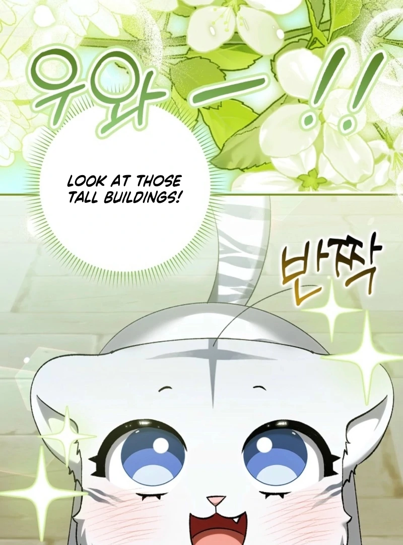 The White Tiger Princess is Not Dangerous Chapter 17 - page 41