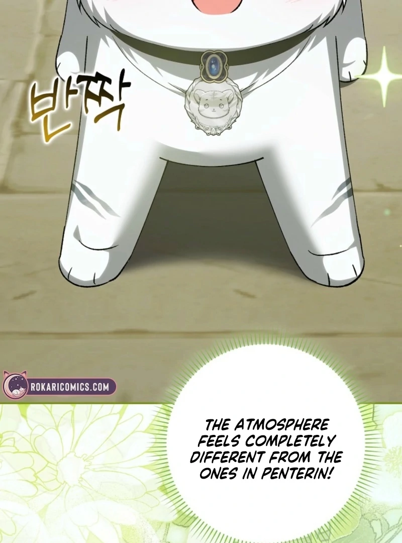 The White Tiger Princess is Not Dangerous Chapter 17 - page 42