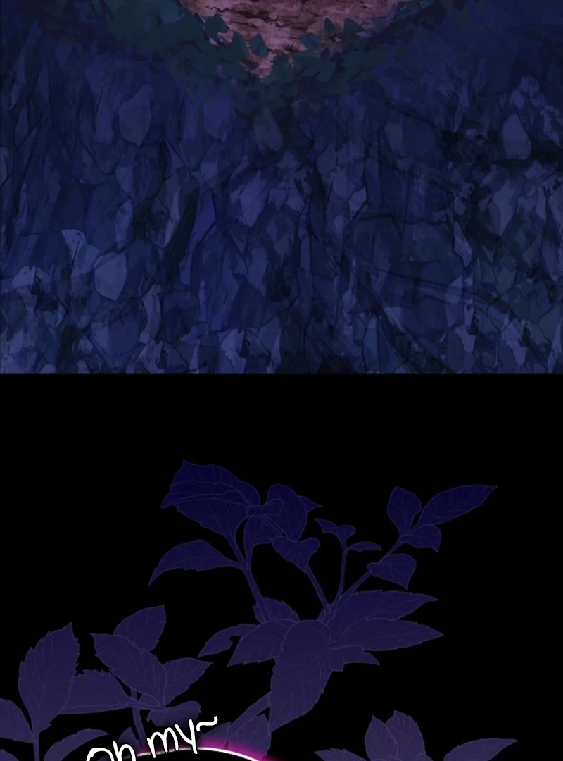 The White Tiger Princess is Not Dangerous Chapter 17 - page 4