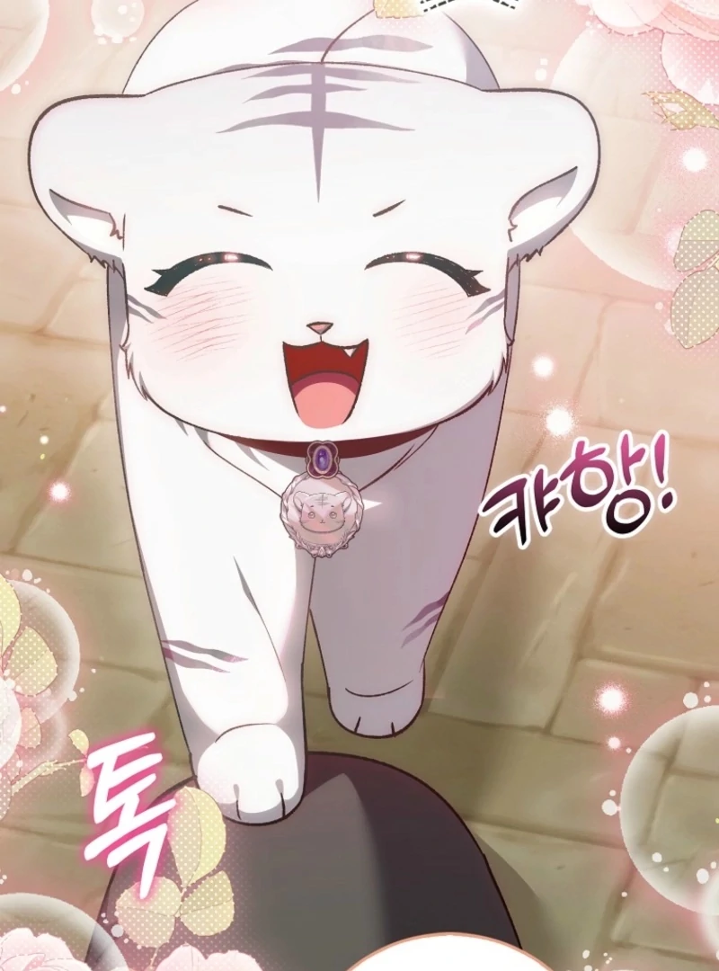 The White Tiger Princess is Not Dangerous Chapter 17 - page 95