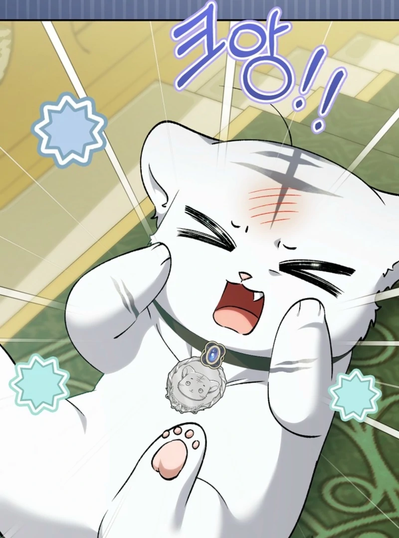 The White Tiger Princess is Not Dangerous Chapter 18 - page 9