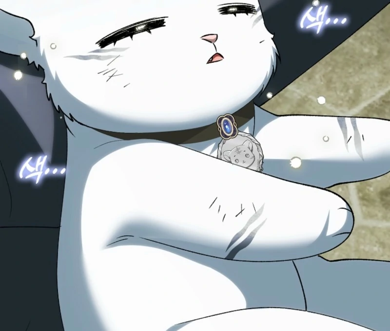 The White Tiger Princess is Not Dangerous Chapter 18 - page 110