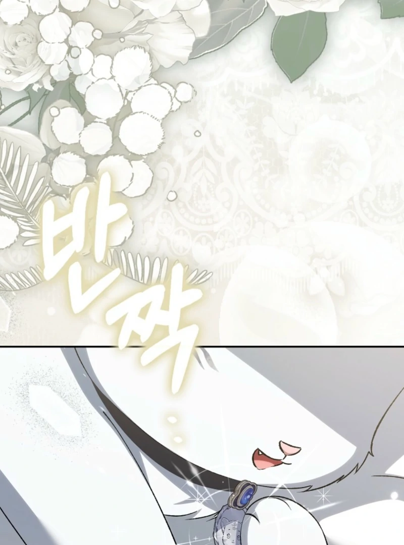 The White Tiger Princess is Not Dangerous Chapter 18 - page 123