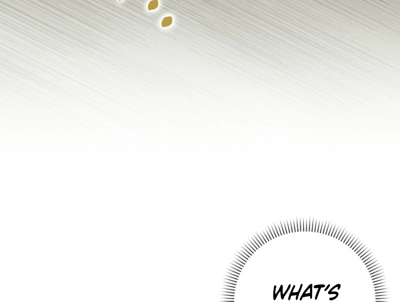 The White Tiger Princess is Not Dangerous Chapter 18 - page 27