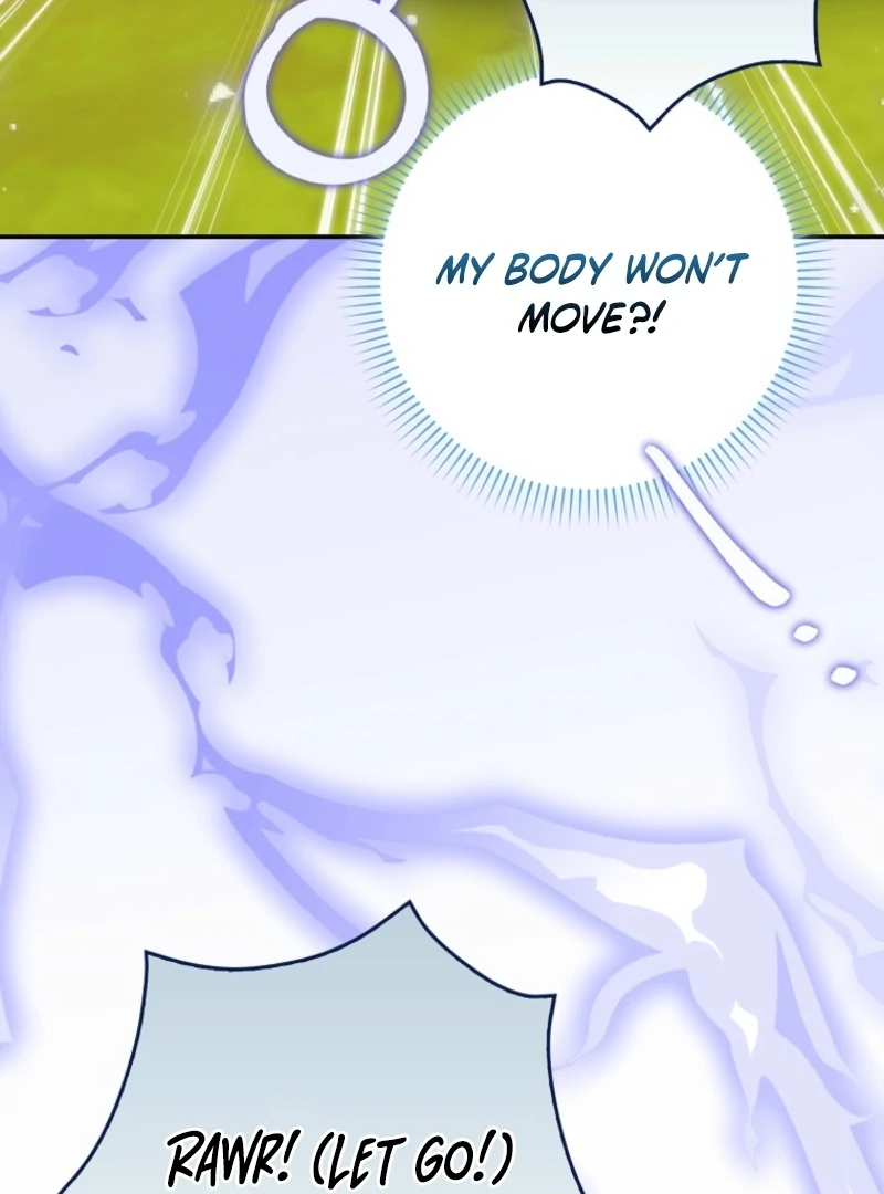 The White Tiger Princess is Not Dangerous Chapter 18 - page 45