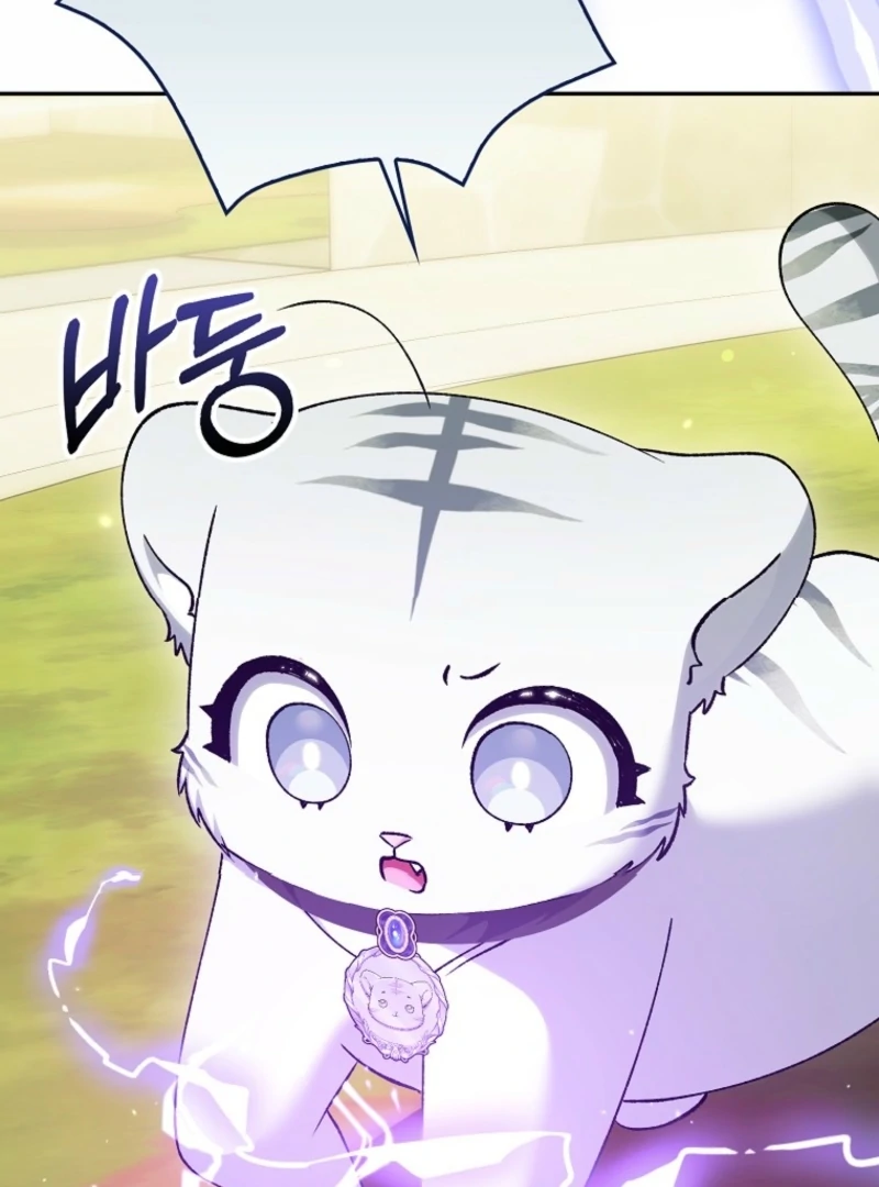 The White Tiger Princess is Not Dangerous Chapter 18 - page 46