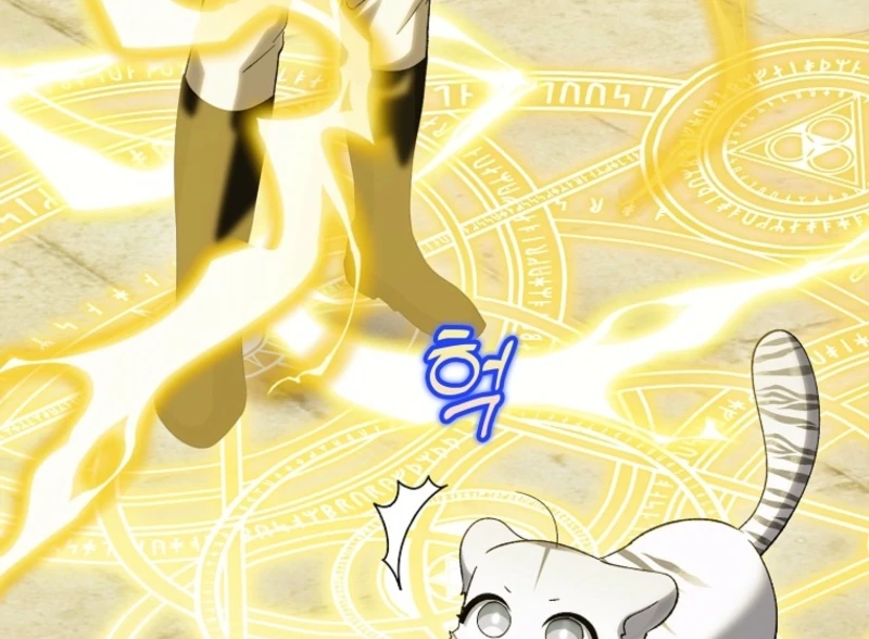 The White Tiger Princess is Not Dangerous Chapter 19 - page 99